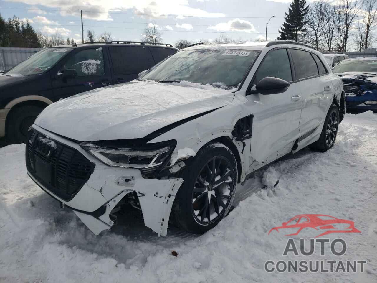AUDI E-TRON 2022 - WA1AAAGE4NB023103