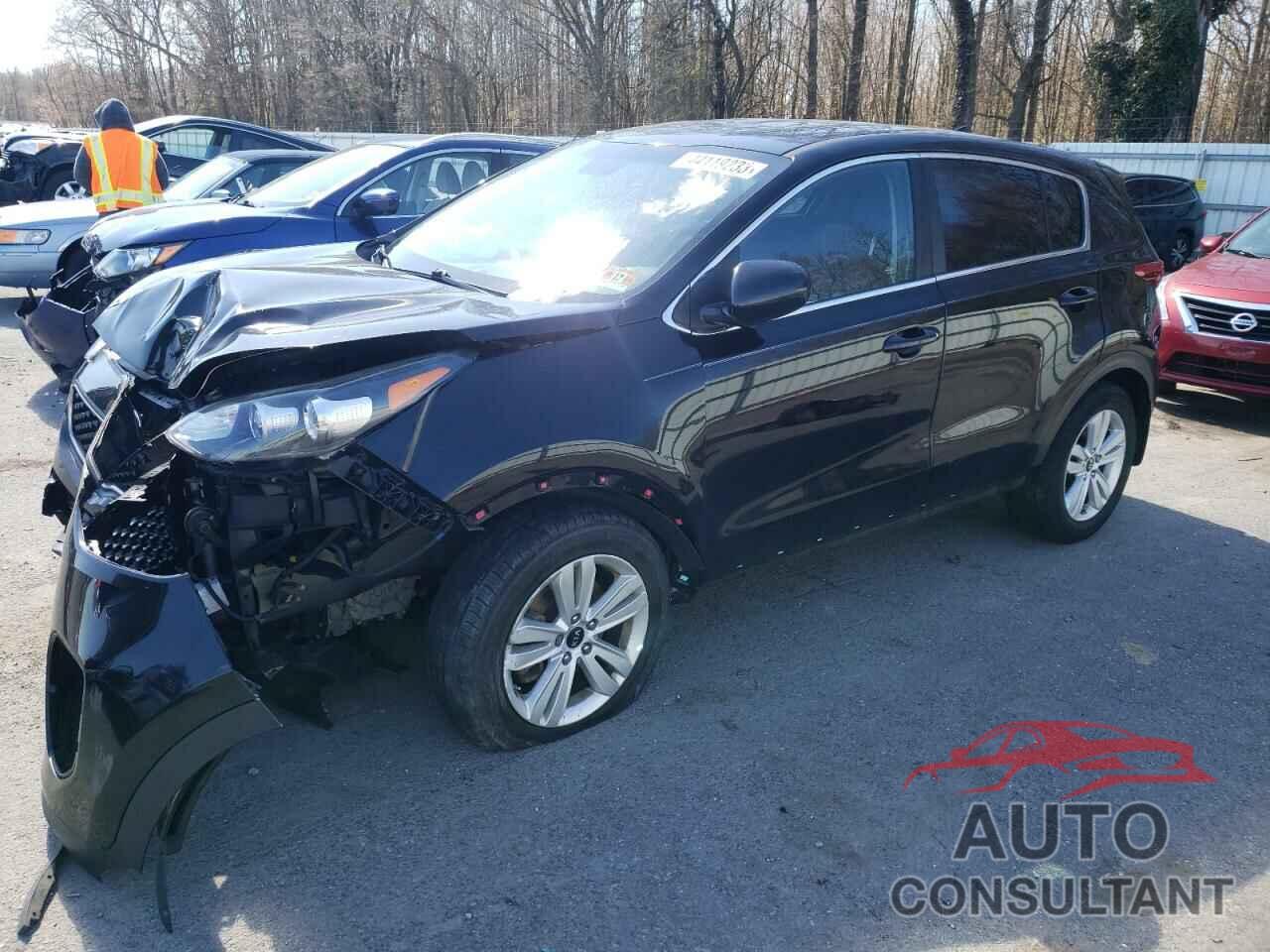 KIA SPORTAGE 2017 - KNDPM3AC1H7176054