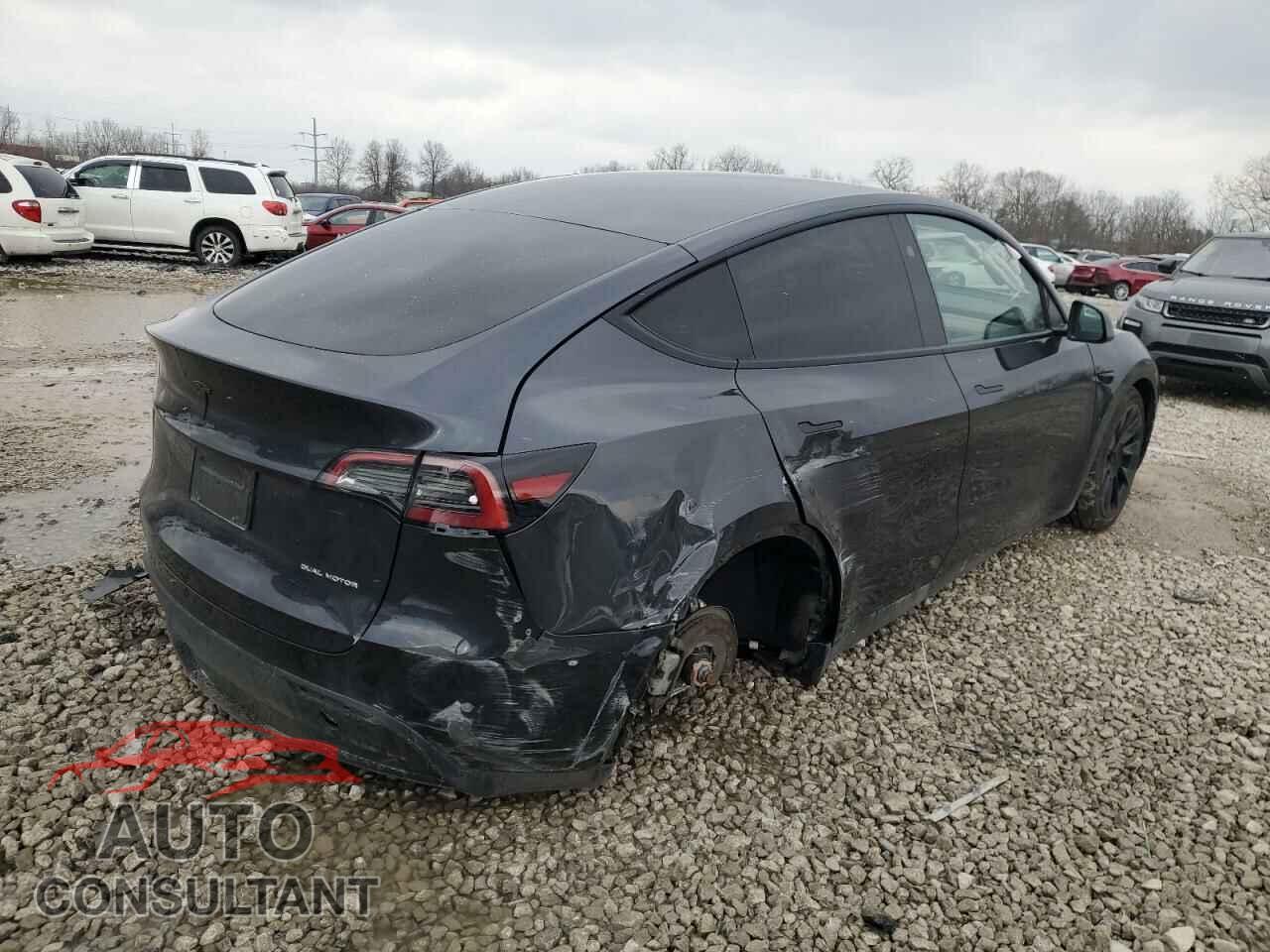 TESLA MODEL Y 2024 - 7SAYGDEEXRF988853
