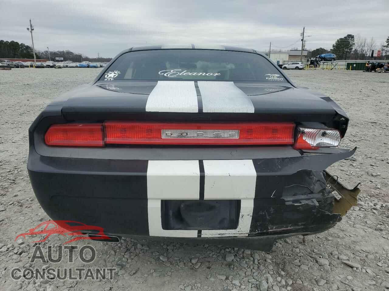DODGE CHALLENGER 2013 - 2C3CDYAG2DH719221