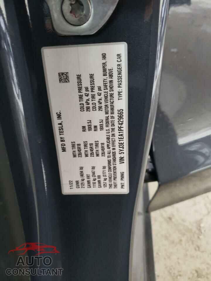TESLA MODEL 3 2023 - 5YJ3E1EA1PF429665