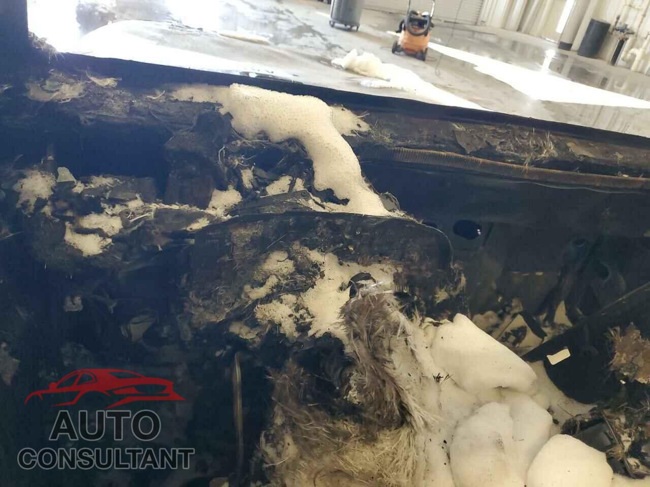 JEEP WRANGLER 2016 - 1C4BJWDG1GL194210