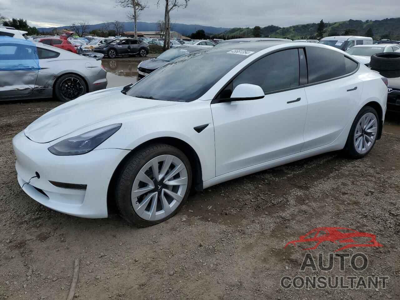 TESLA MODEL 3 2022 - 5YJ3E1EA3NF324414