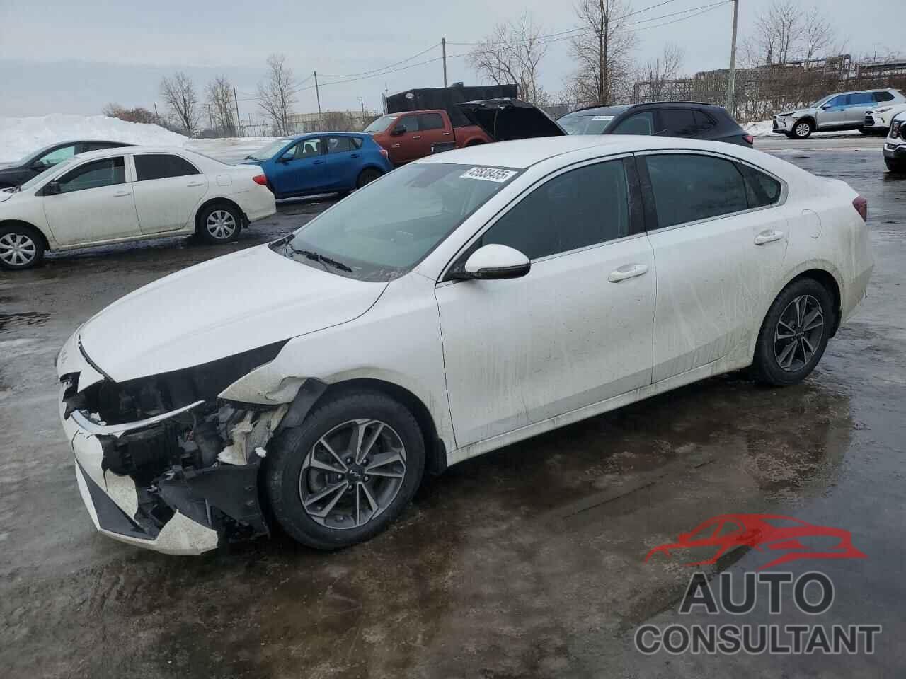 KIA FORTE 2024 - 3KPF34AD3RE720147