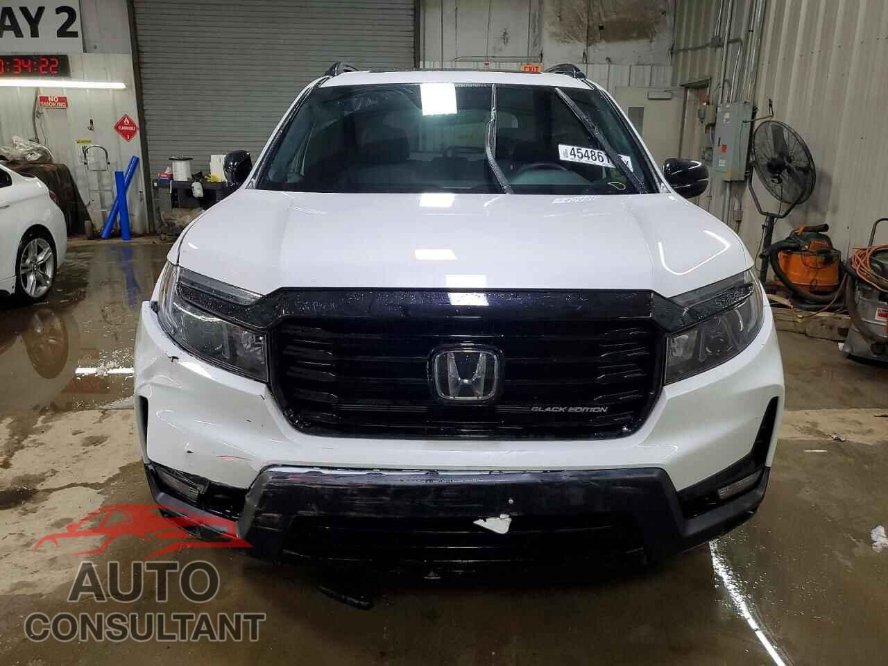 HONDA PASSPORT 2025 - 5FNYF8H84SB011663