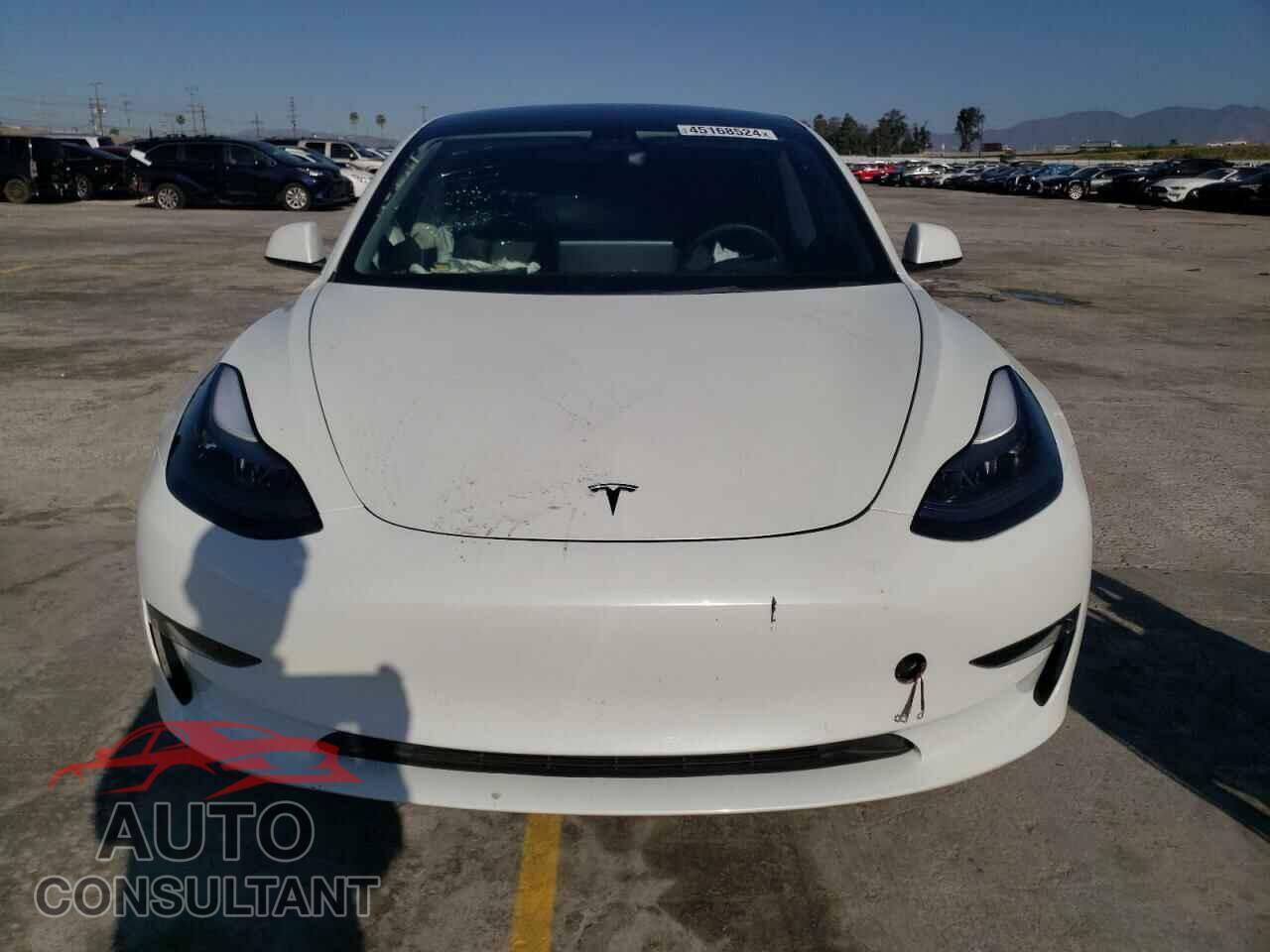 TESLA MODEL 3 2021 - 5YJ3E1EA6MF100410