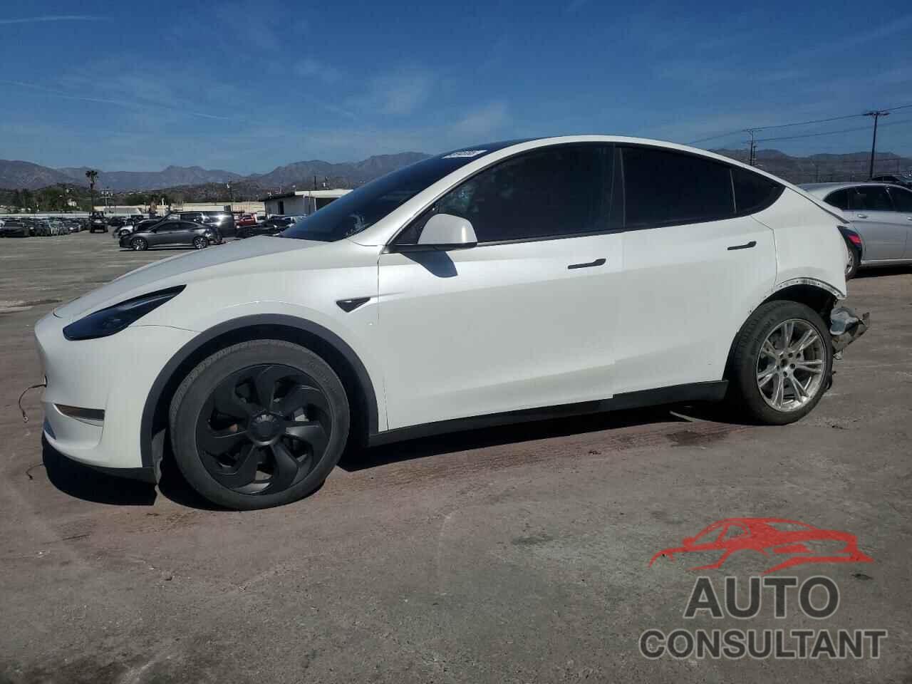 TESLA MODEL Y 2021 - 5YJYGDEE5MF064021