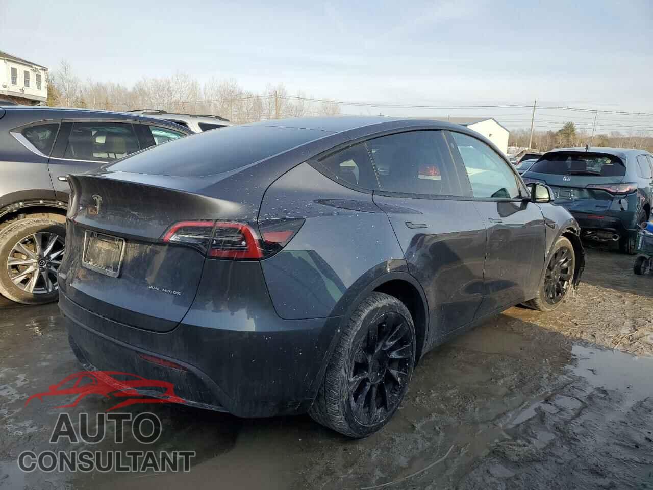 TESLA MODEL Y 2022 - 7SAYGDEE7NF434003