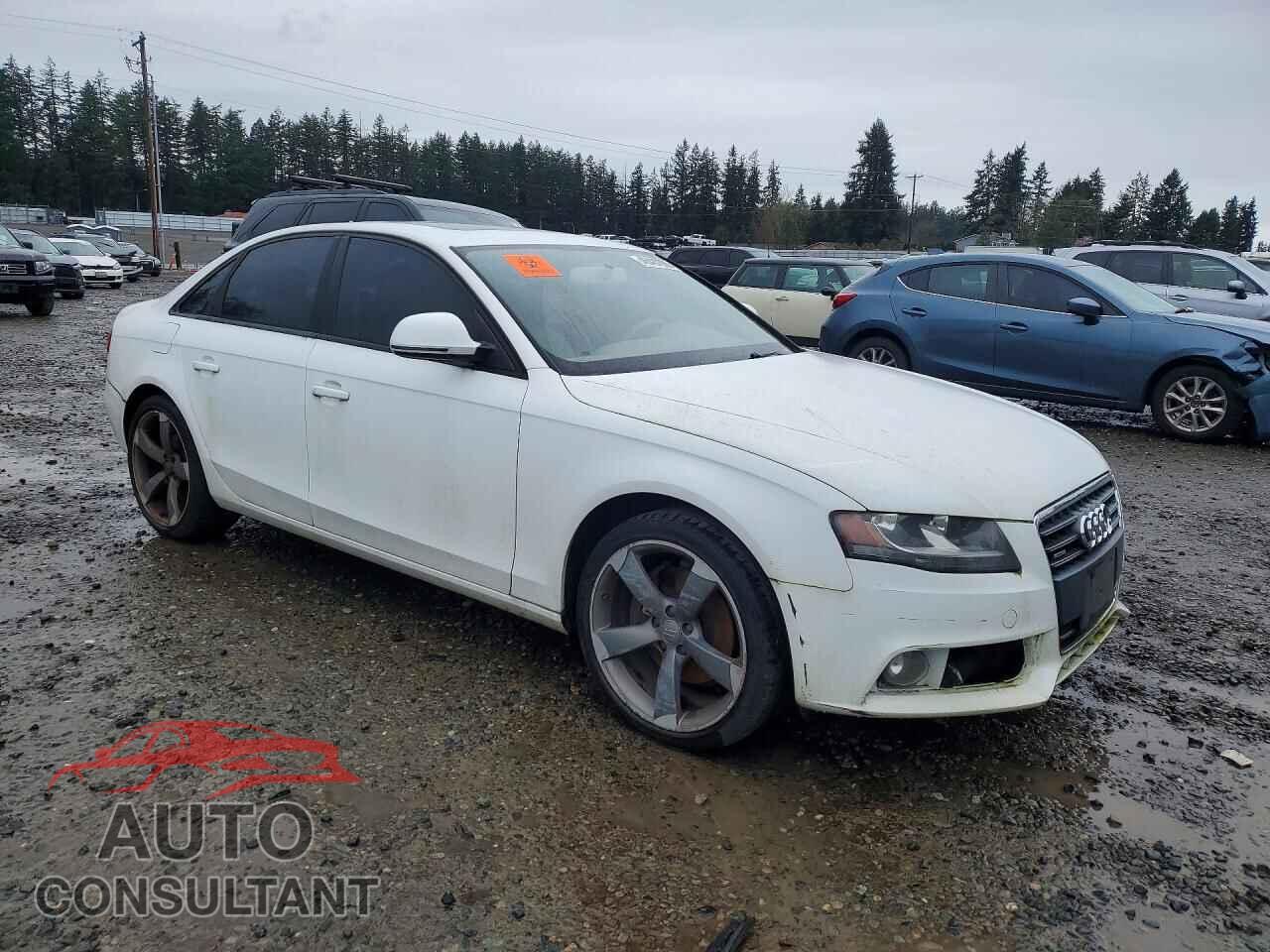 AUDI A4 2009 - WAULF78K99N022943