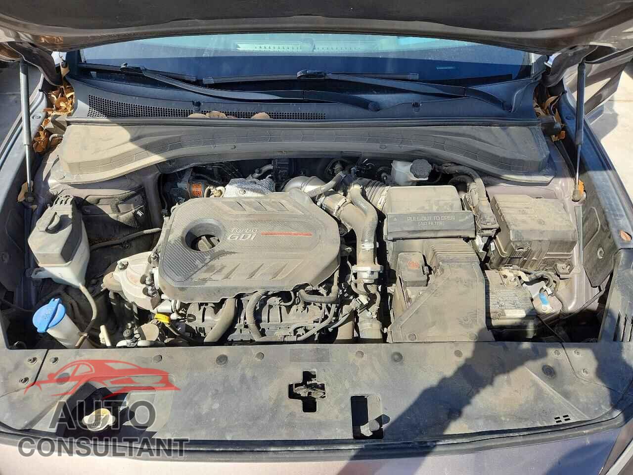 HYUNDAI SANTA FE 2019 - 5NMS53AA6KH083603