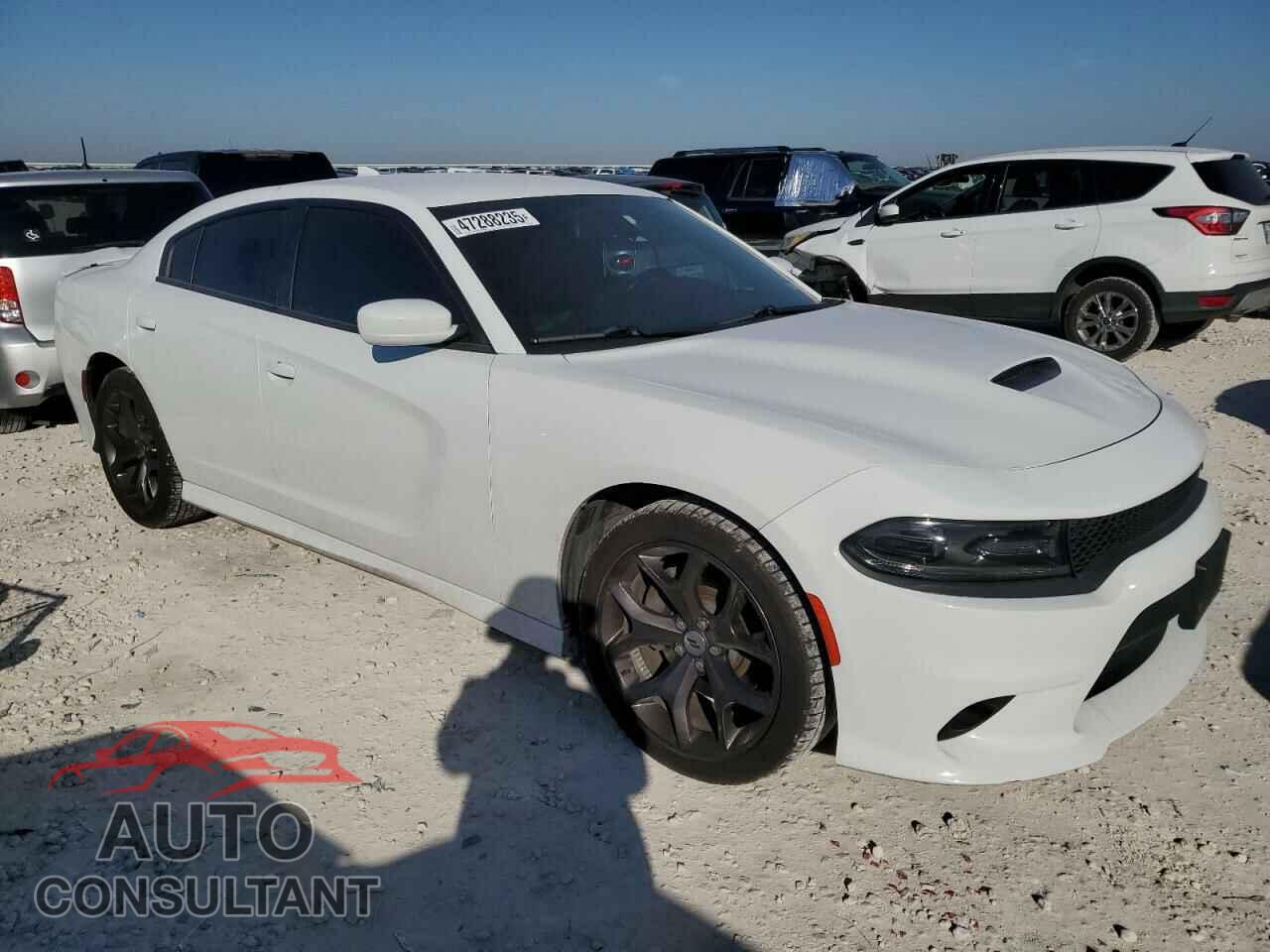 DODGE CHARGER 2019 - 2C3CDXHG2KH512762