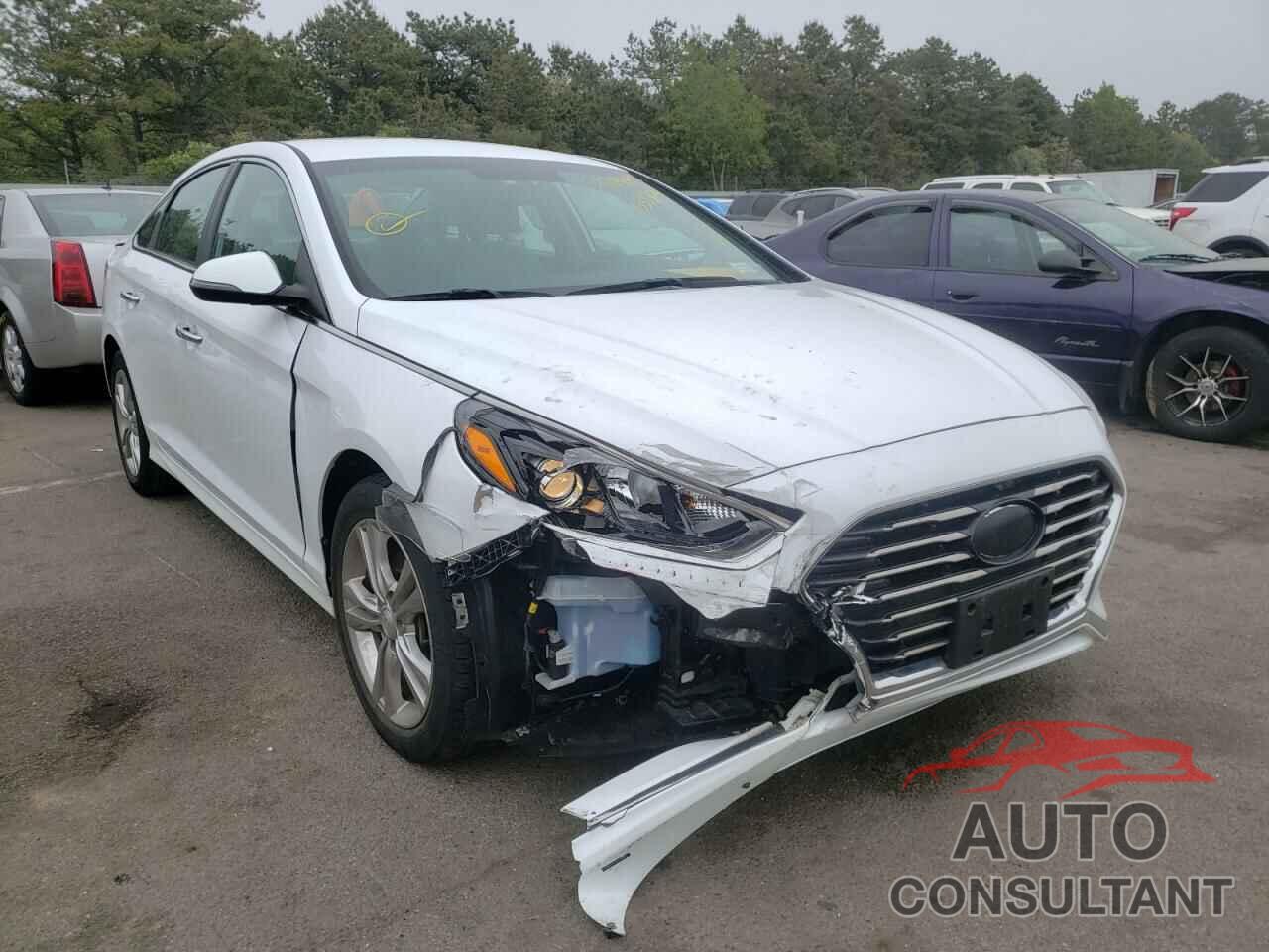 HYUNDAI SONATA 2018 - 5NPE34AF0JH633304