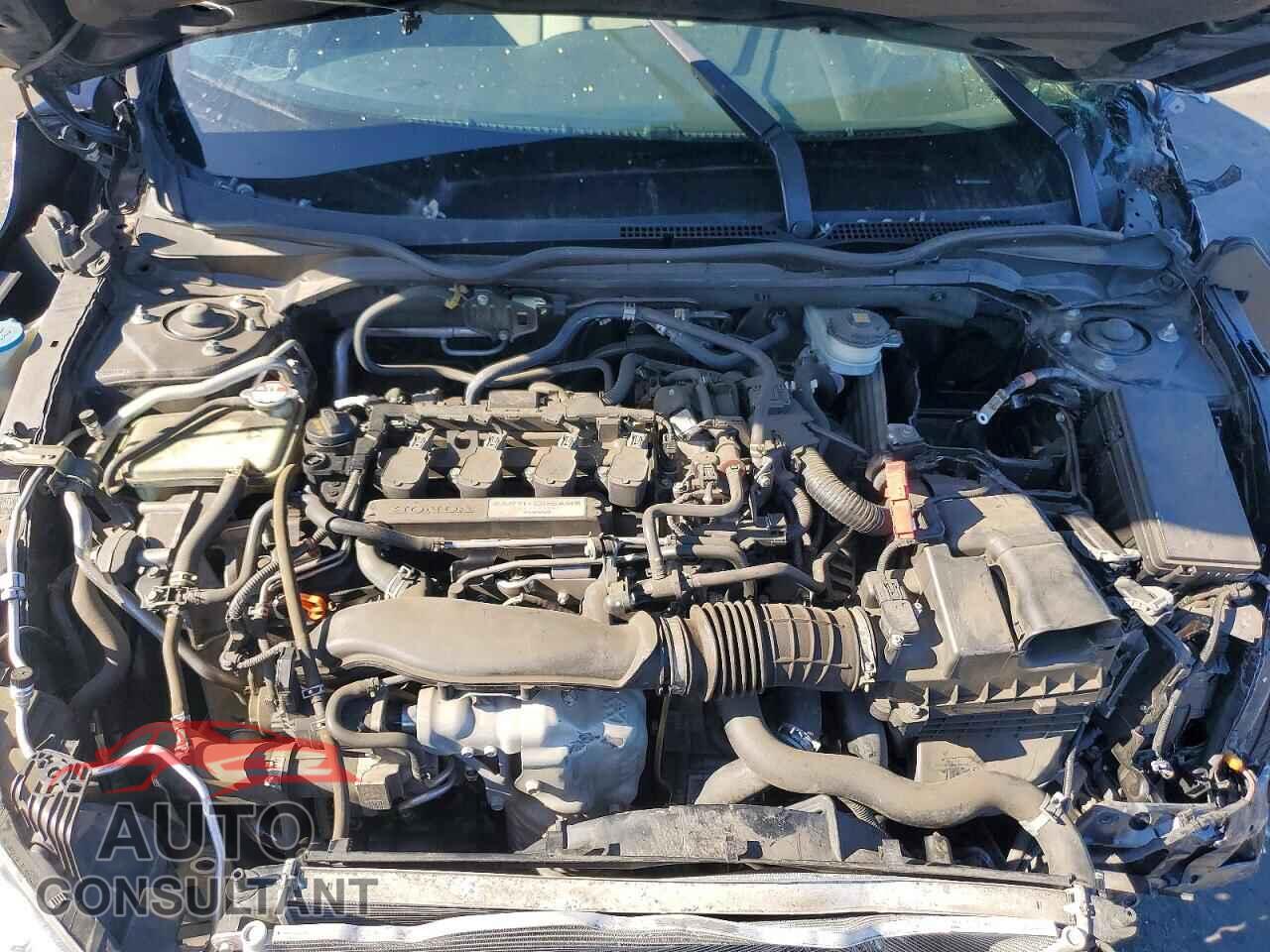 HONDA CIVIC 2019 - JHMFC1F33KX014749