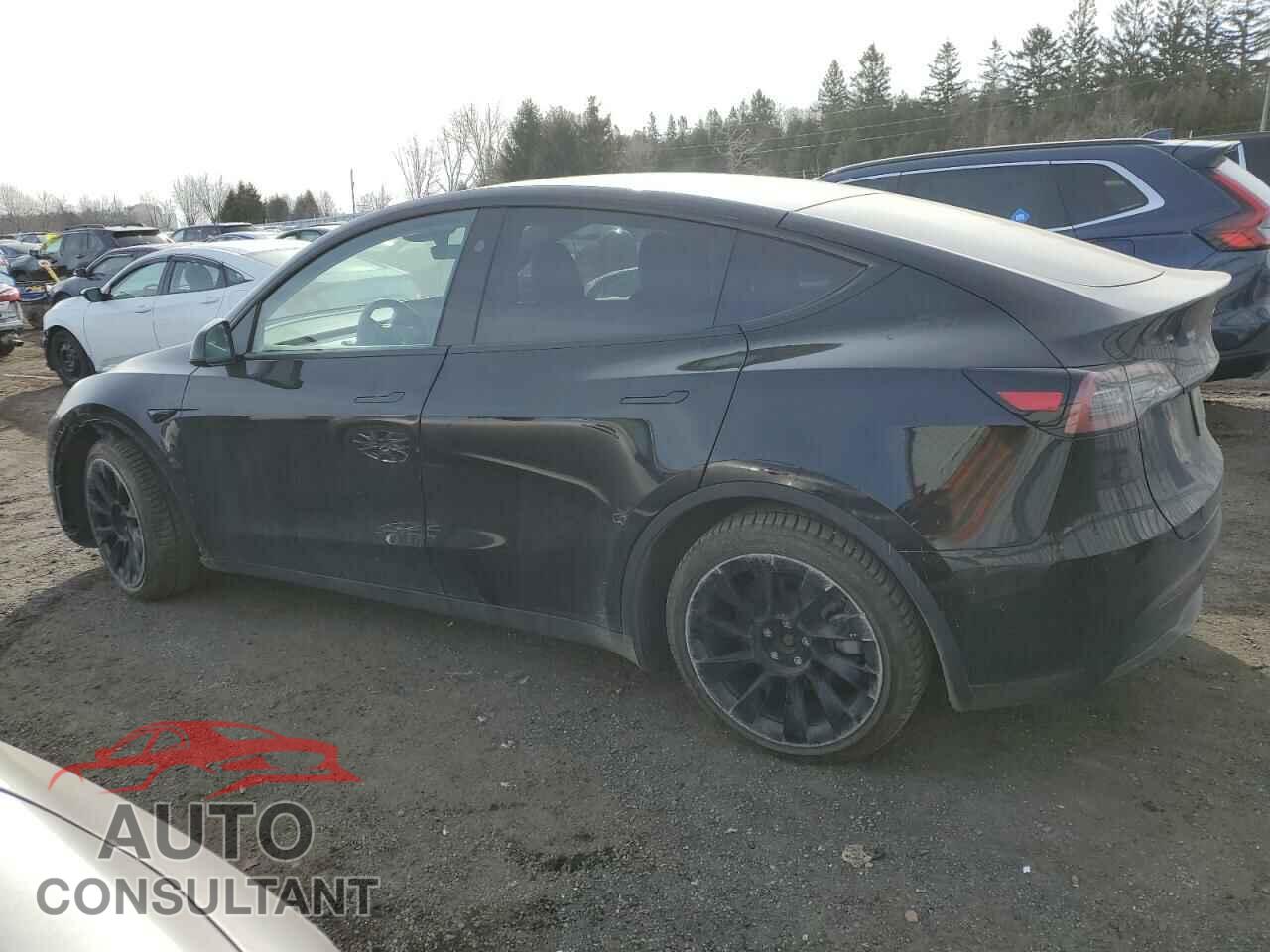 TESLA MODEL Y 2024 - 7SAYGDEE0RF034080