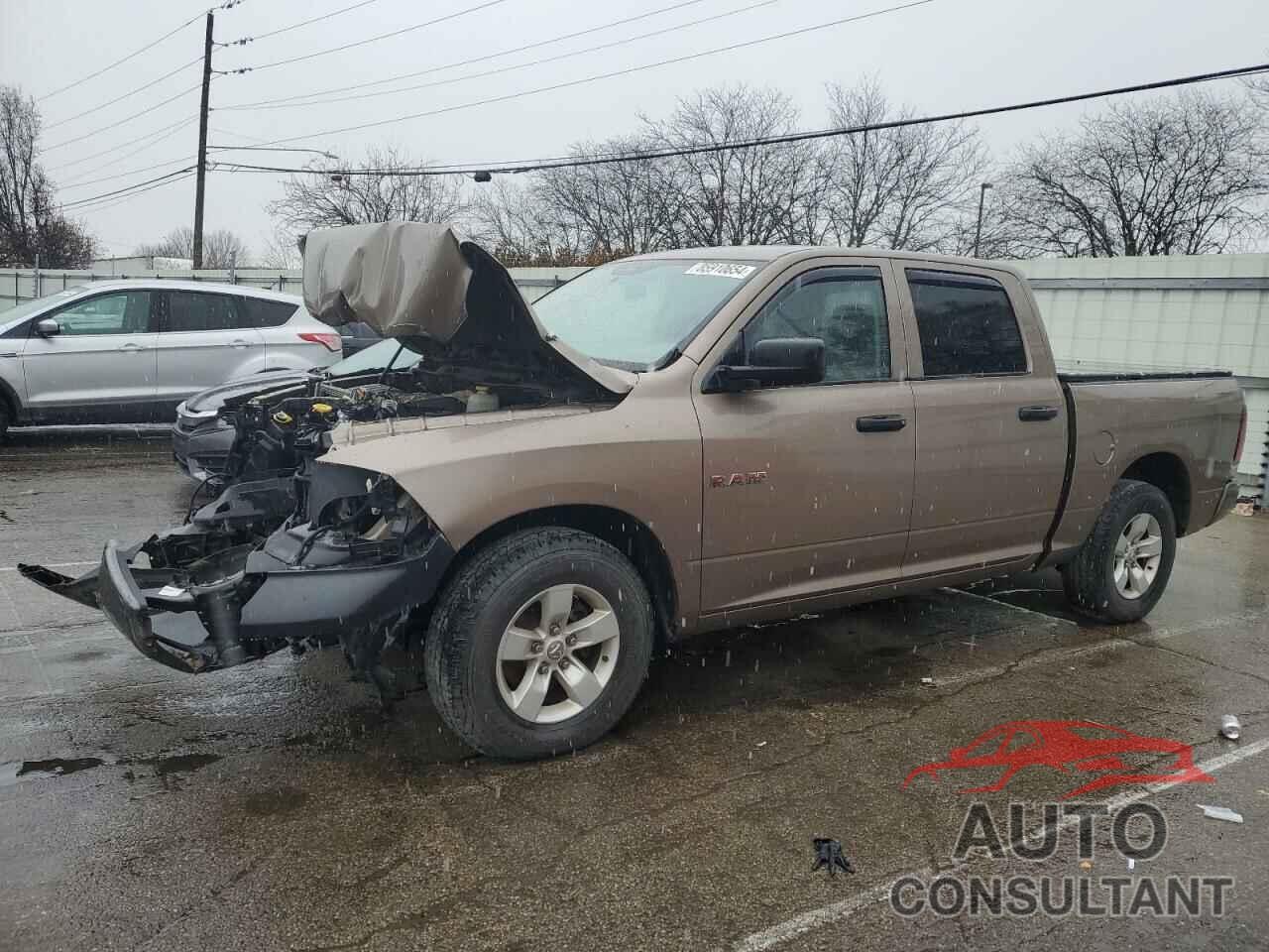 DODGE All Models 2010 - 1D7RB1CP9AS145159
