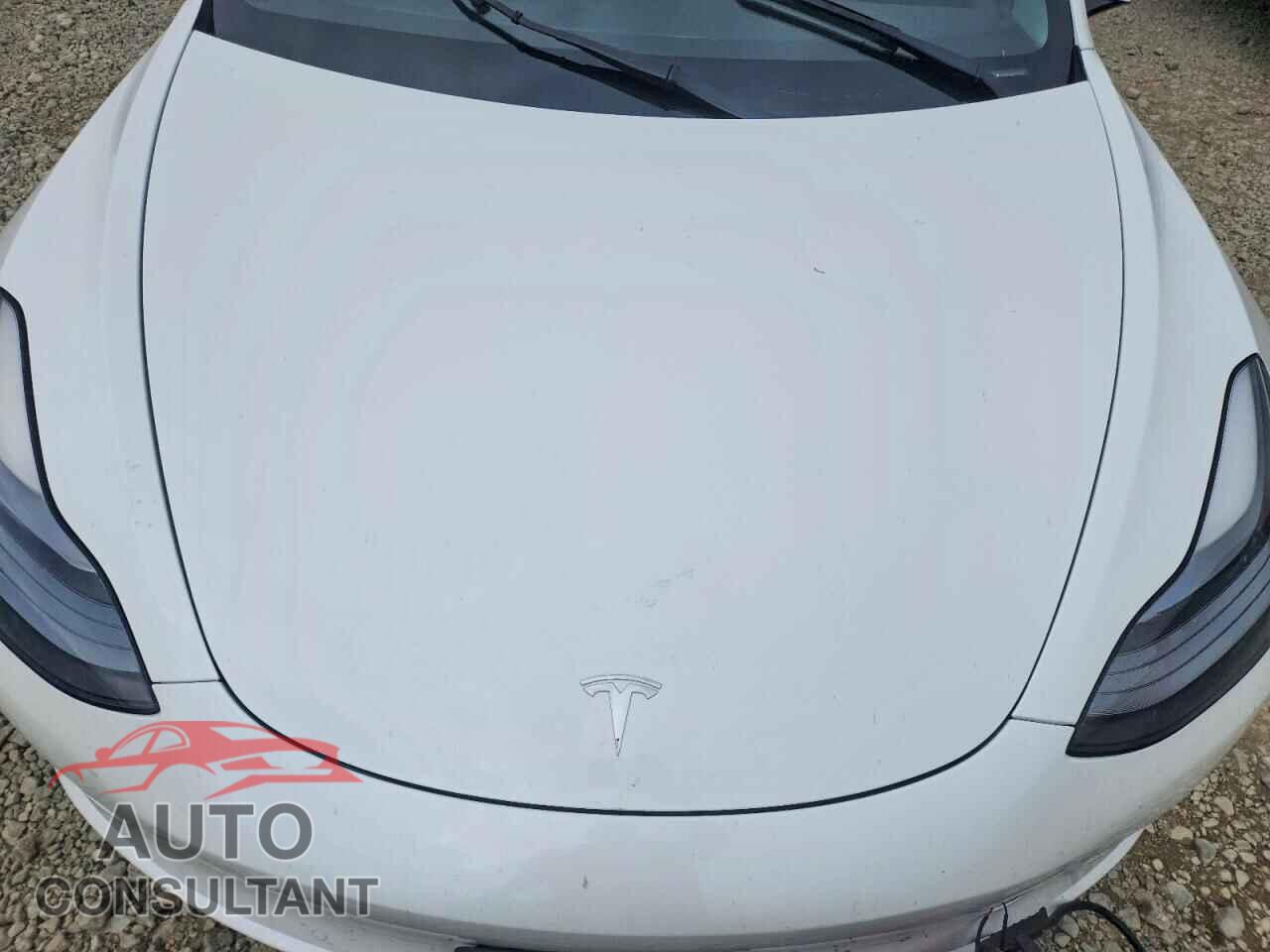 TESLA MODEL 3 2021 - 5YJ3E1EA8MF009526
