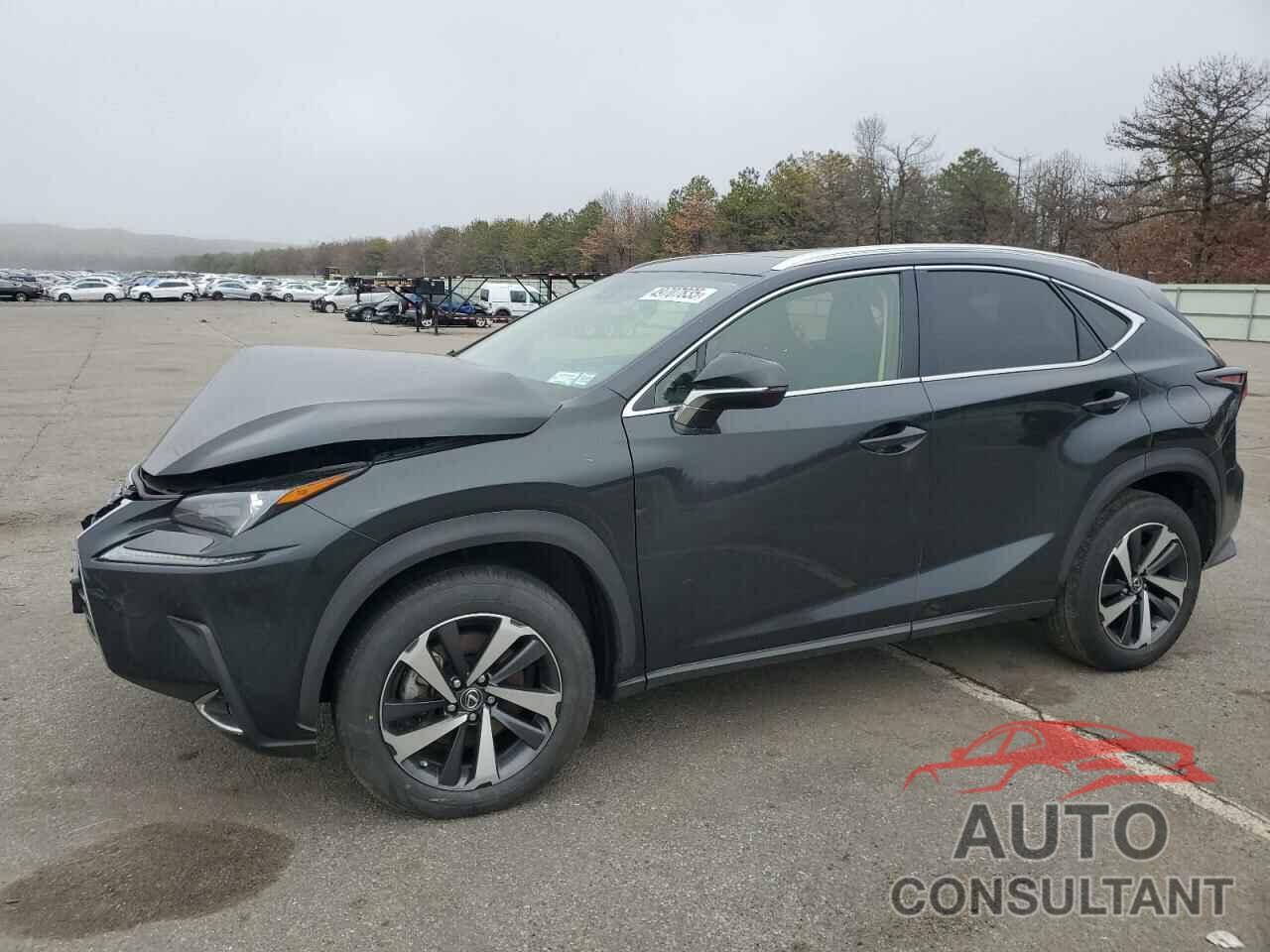 LEXUS NX 2021 - JTJGARDZ8M2248920