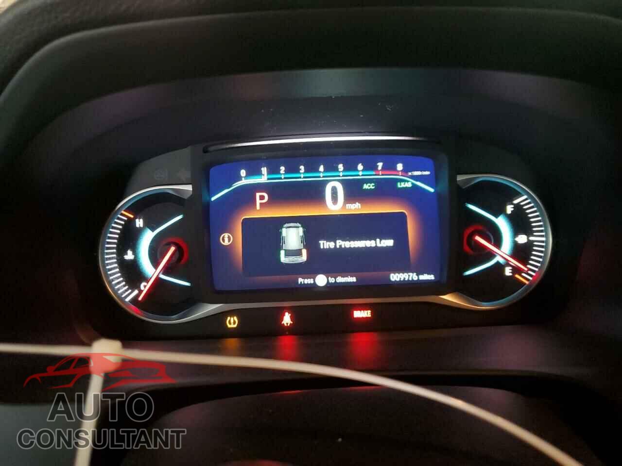 HONDA PILOT 2019 - 5FNYF6H13KB020877