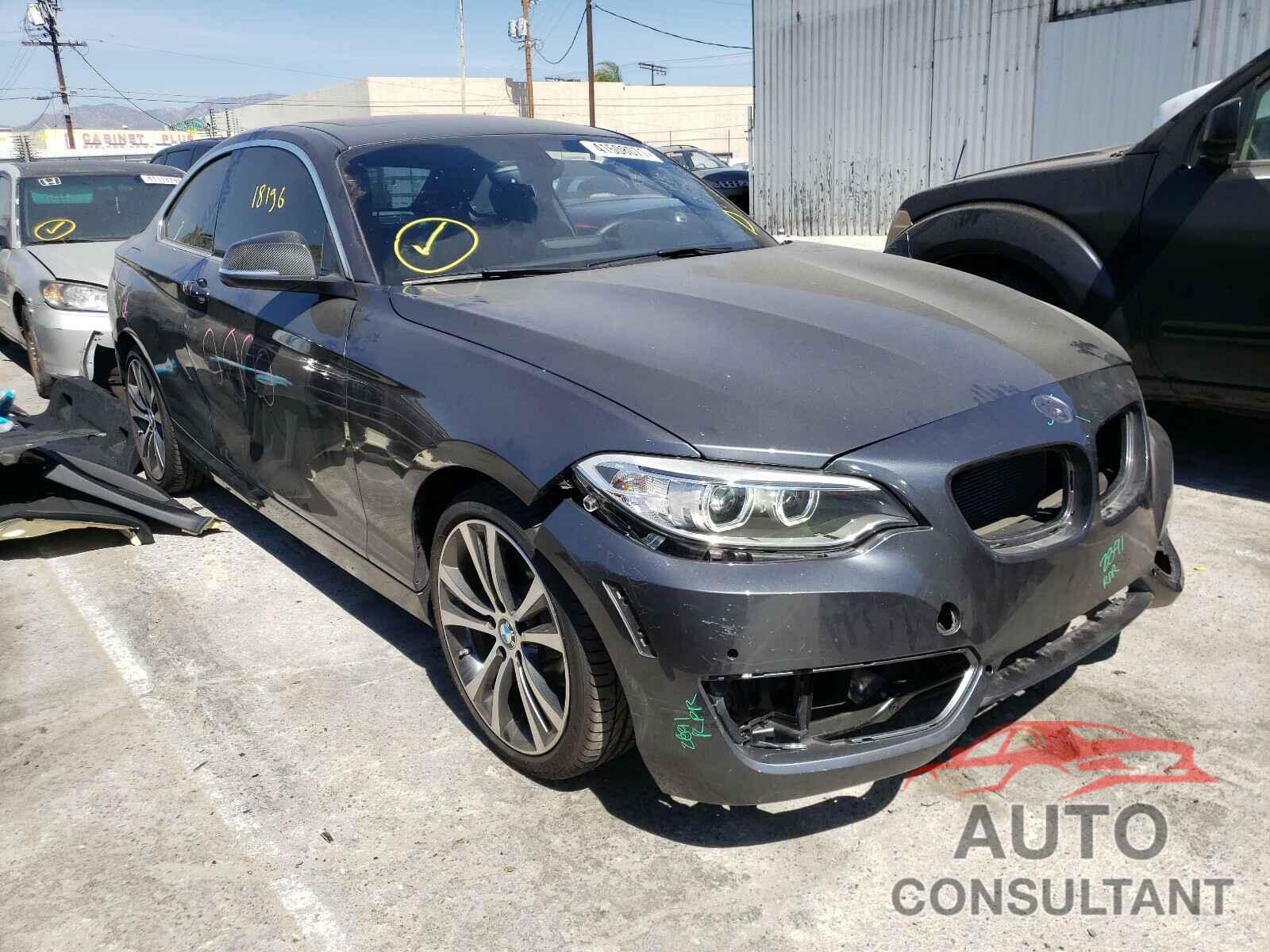 BMW 2 SERIES 2016 - WBA1F9C5XGV544885