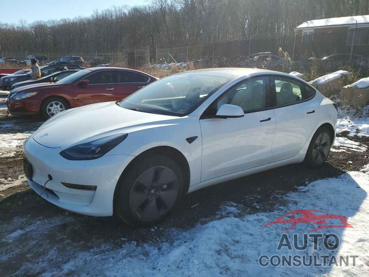 TESLA MODEL 3 2021 - 5YJ3E1EA5MF987269