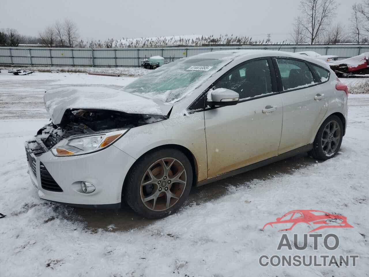 FORD FOCUS 2014 - 1FADP3K24EL136446