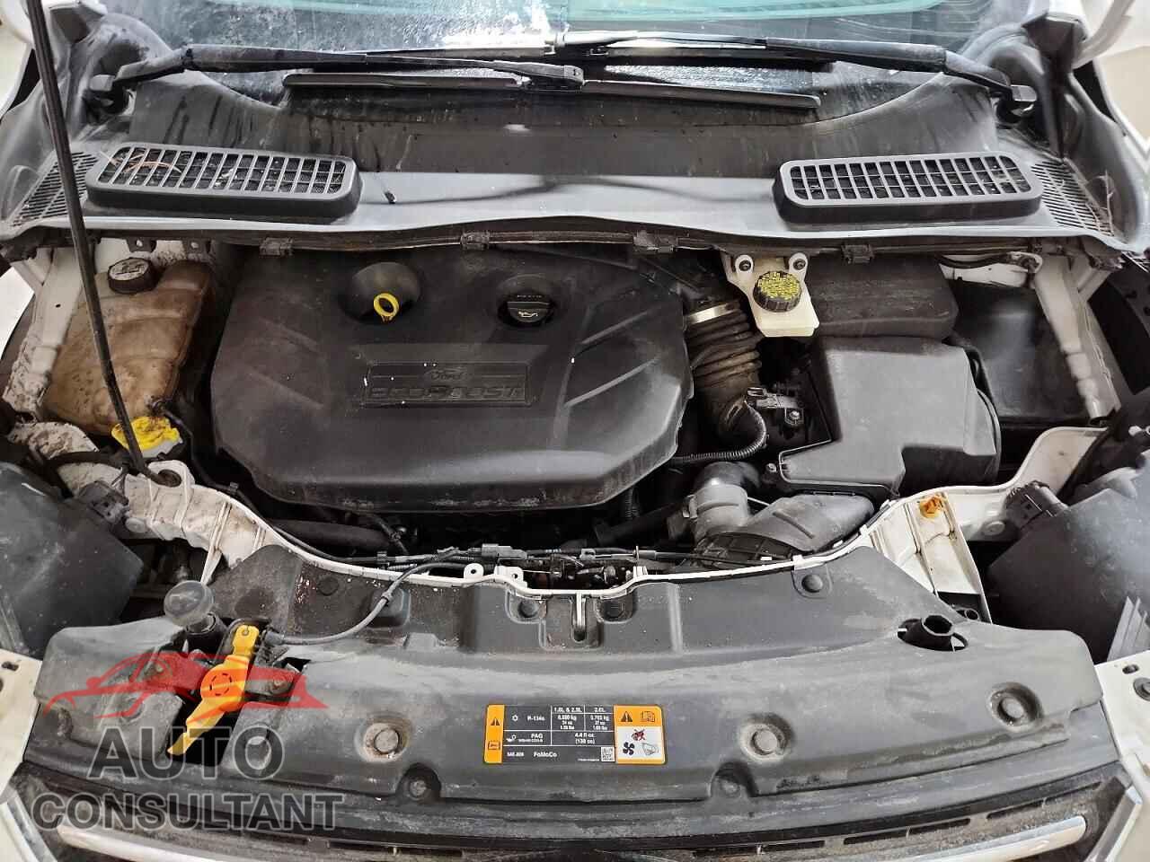 FORD ESCAPE 2013 - 1FMCU9J91DUD85355