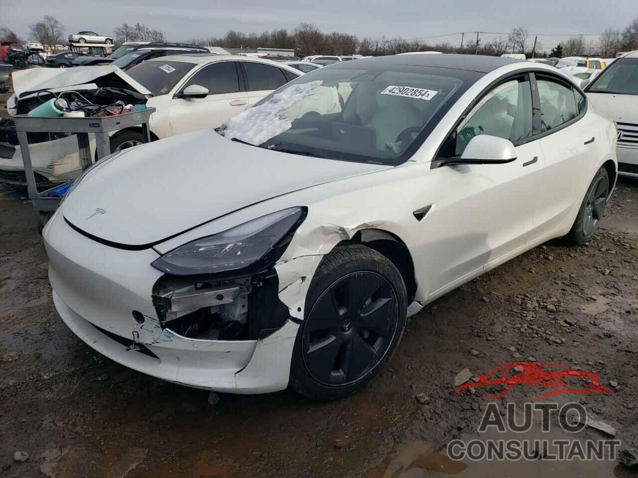 TESLA MODEL 3 2021 - 5YJ3E1EA5MF100088