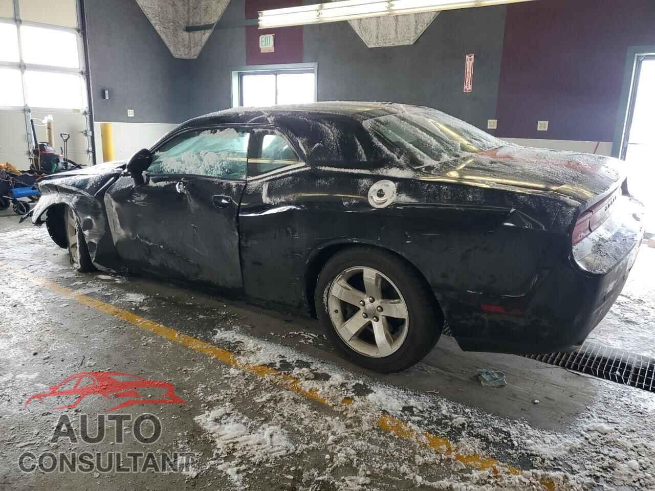 DODGE CHALLENGER 2013 - 2C3CDYAG9DH540447