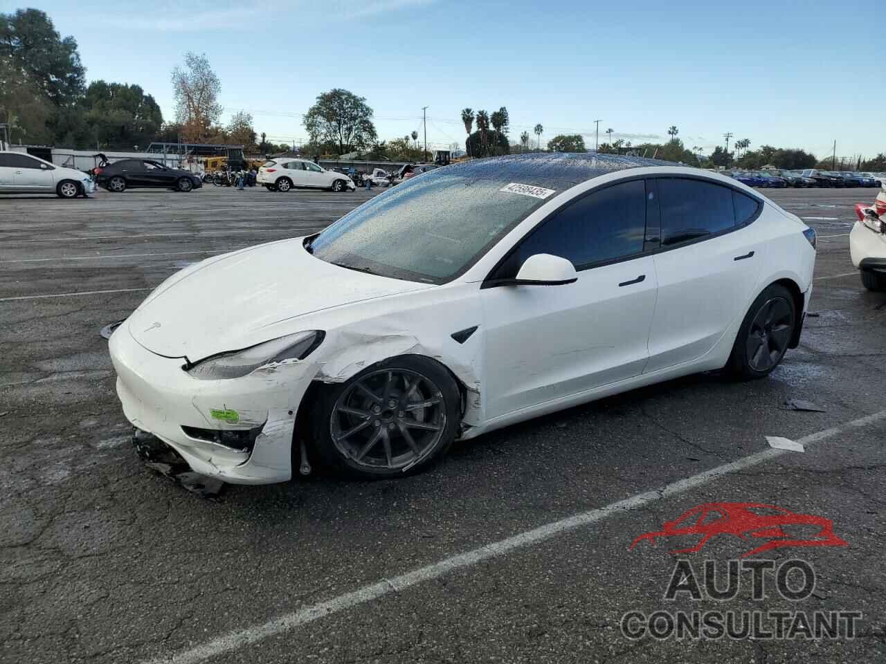 TESLA MODEL 3 2022 - 5YJ3E1EA7NF307034