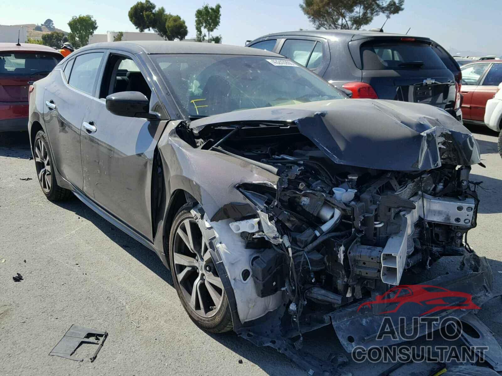 NISSAN MAXIMA 2016 - 1N4AA6AP4GC443119