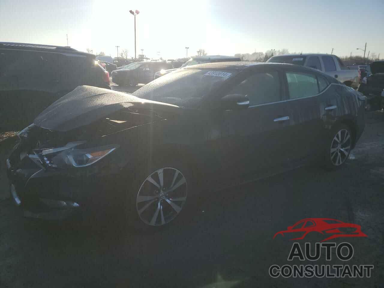 NISSAN MAXIMA 2016 - 1N4AA6APXGC396792