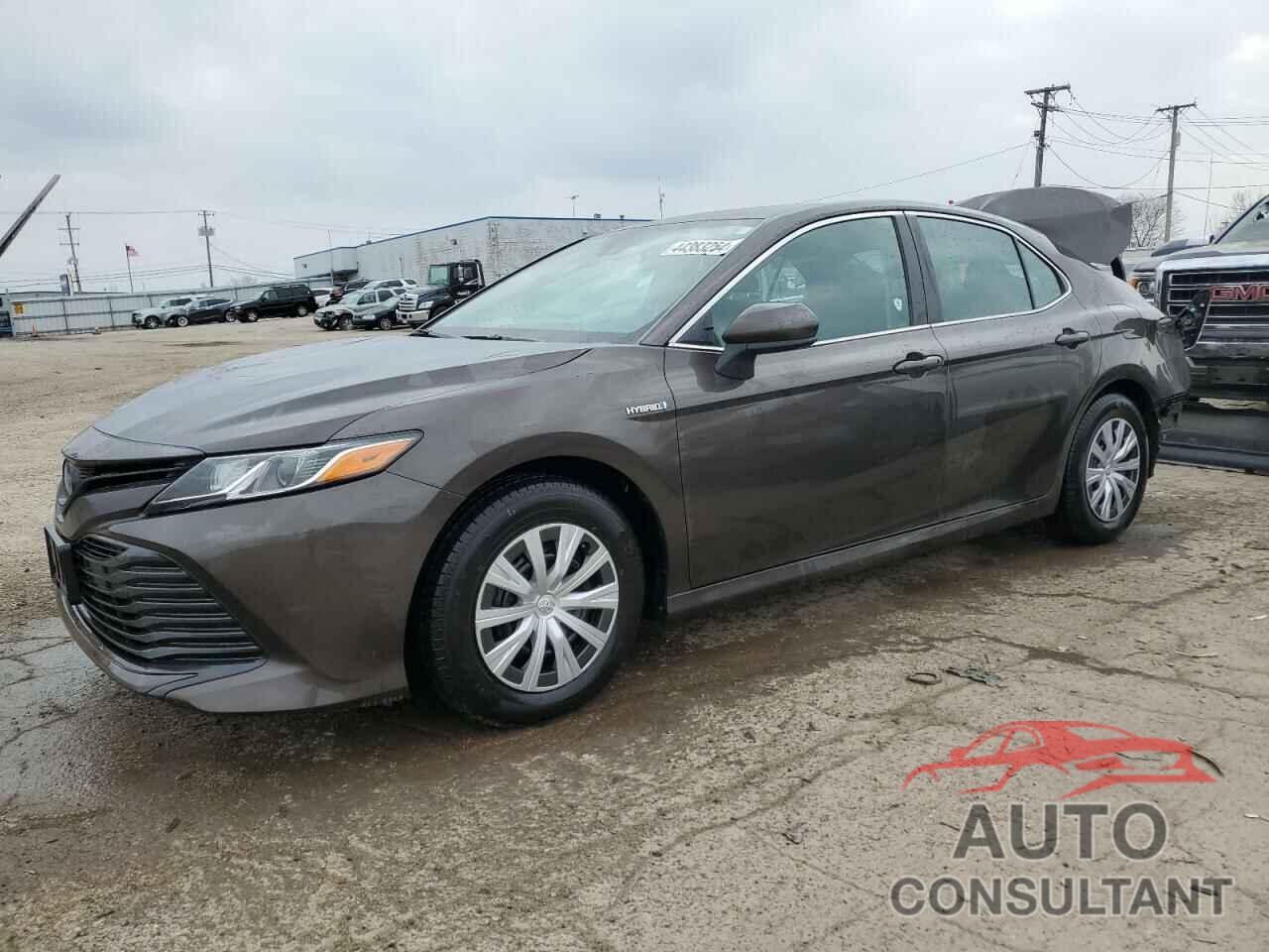 TOYOTA CAMRY 2020 - 4T1C31AK5LU528183