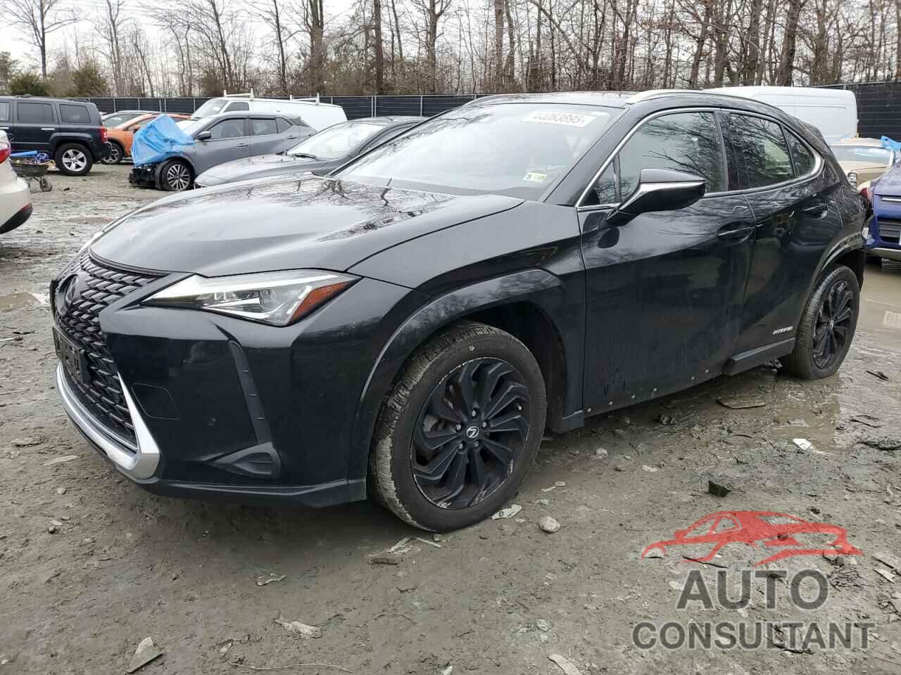 LEXUS UX 250H BA 2022 - JTHP9JBH0N2058794