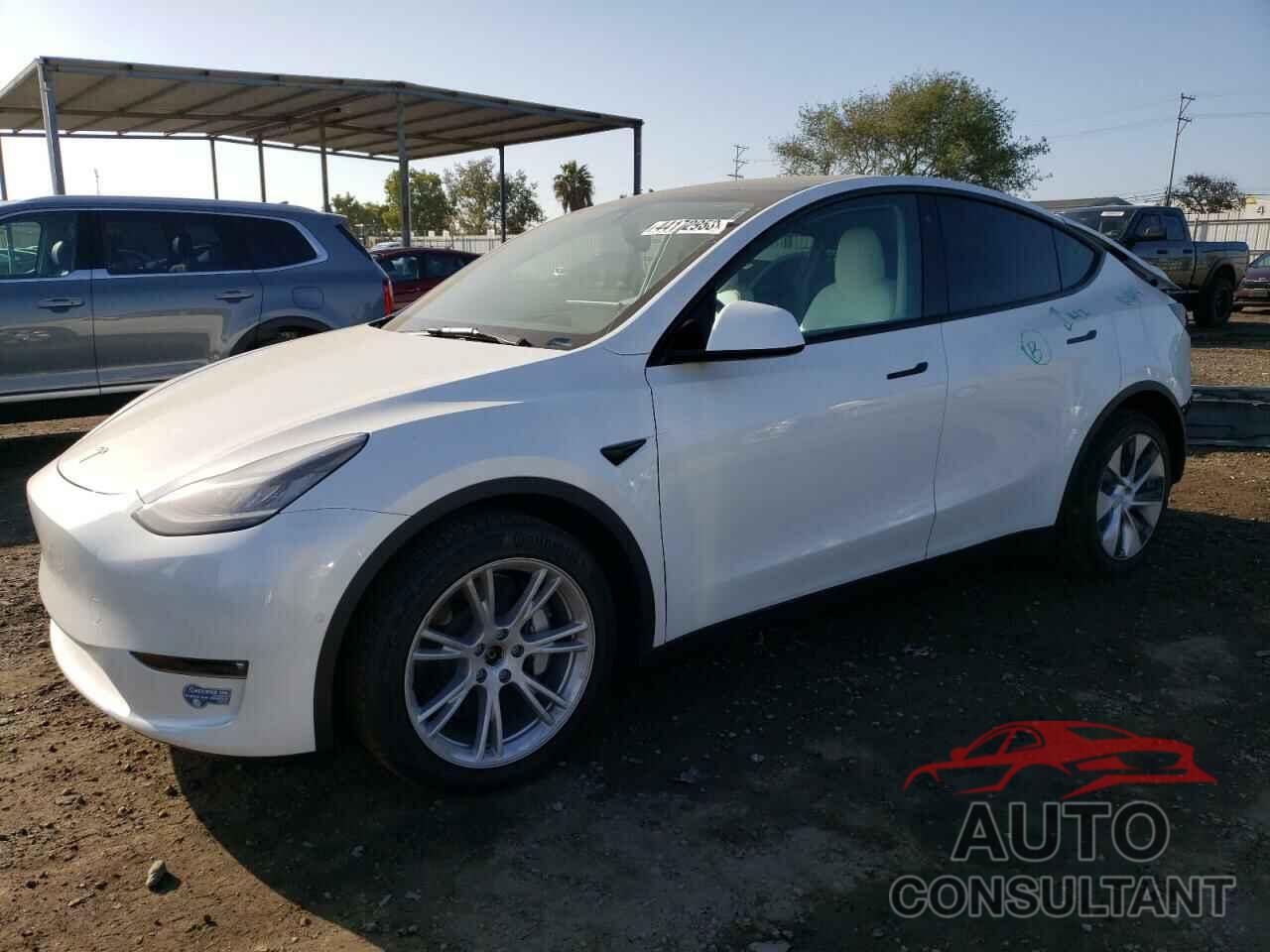 TESLA MODEL Y 2021 - 5YJYGDEE9MF172979