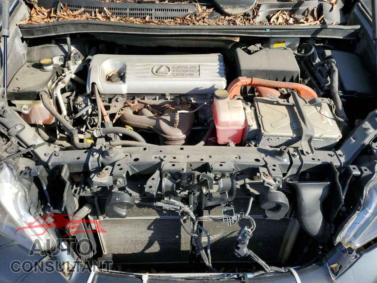 LEXUS HS 2010 - JTHBB1BA5A2016553
