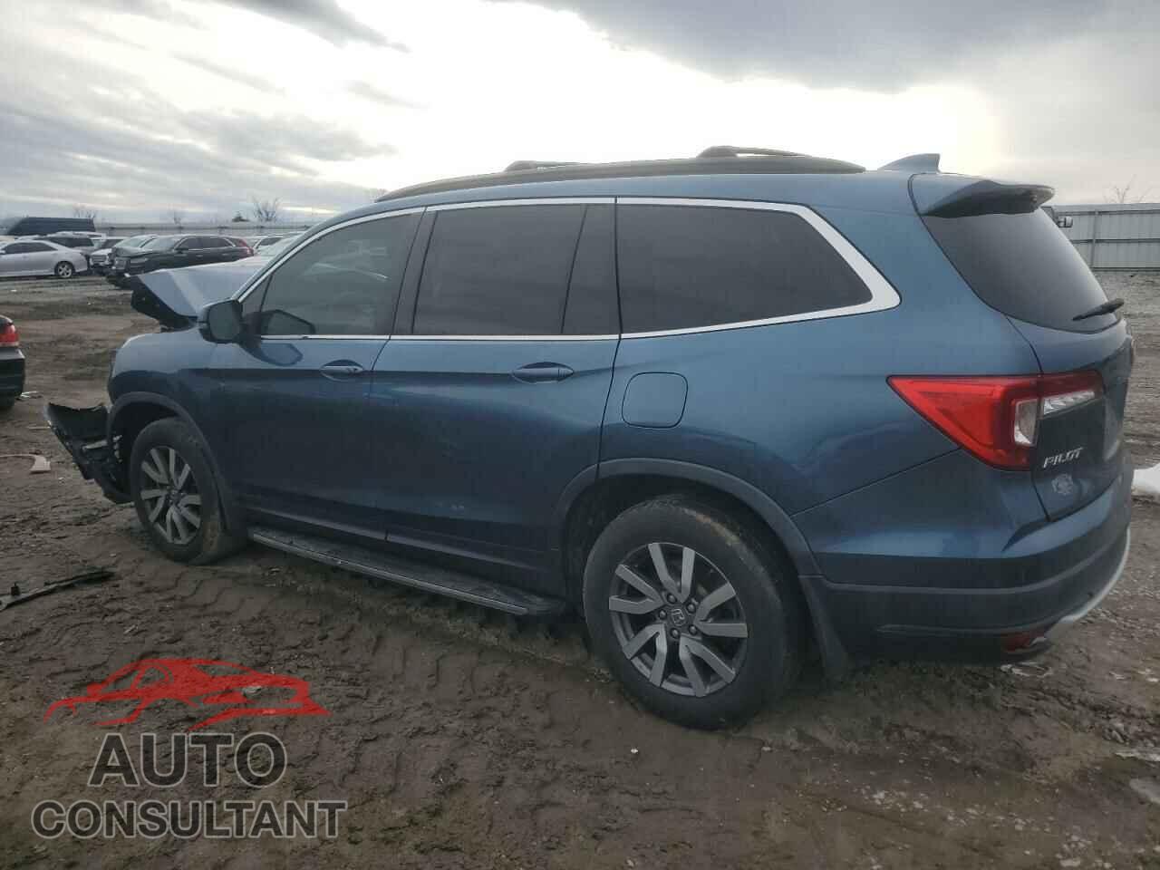 HONDA PILOT 2019 - 5FNYF6H55KB071719