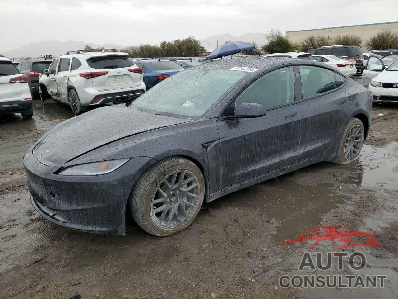 TESLA MODEL 3 2024 - 5YJ3E1EA3RF846062