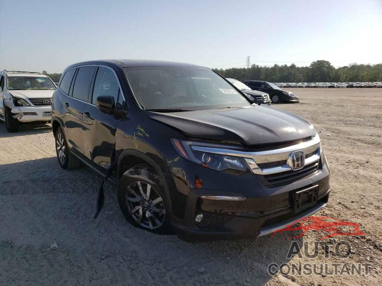 HONDA PILOT 2019 - 5FNYF6H55KB024092