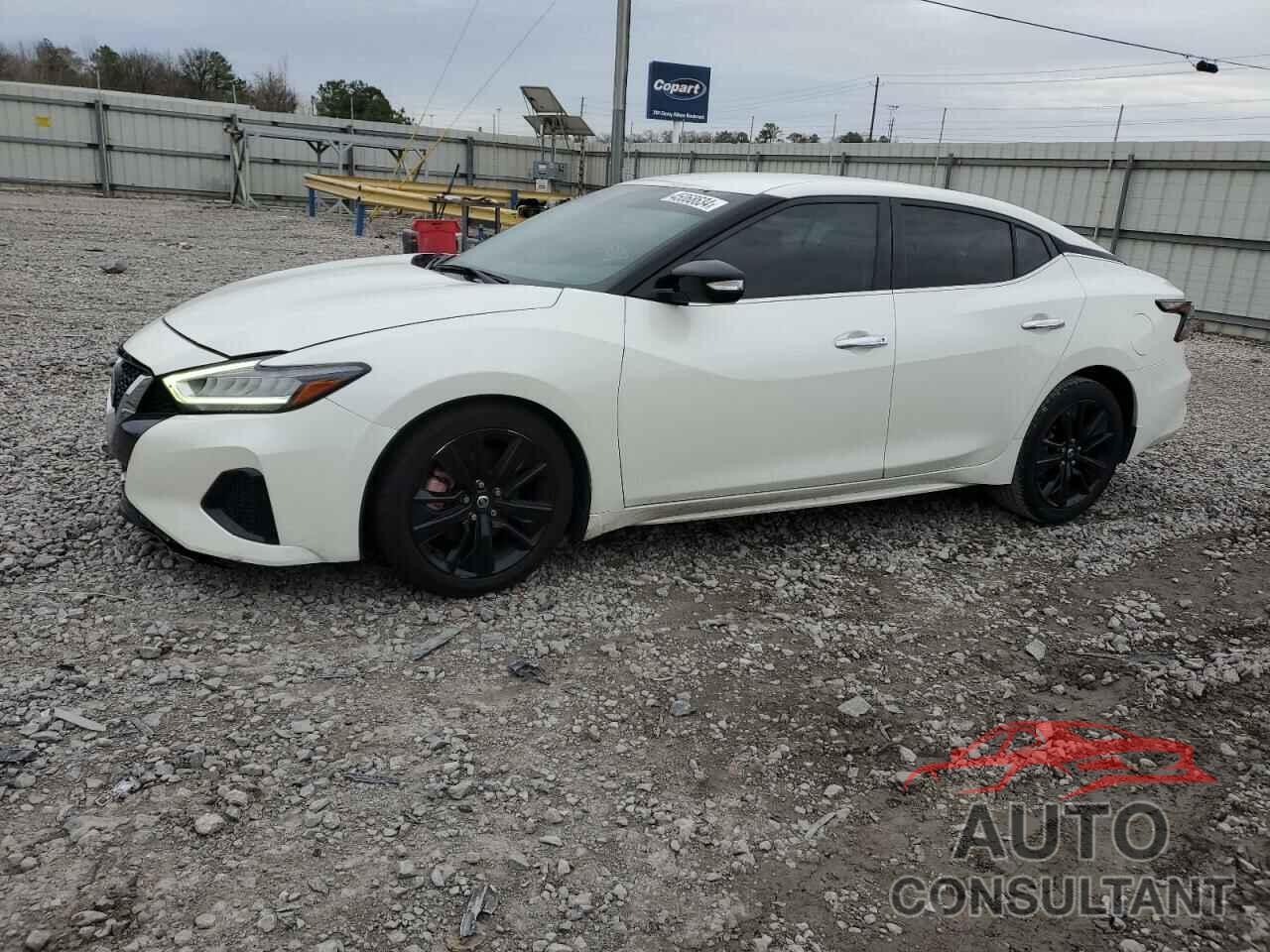 NISSAN MAXIMA 2019 - 1N4AA6AV1KC373828