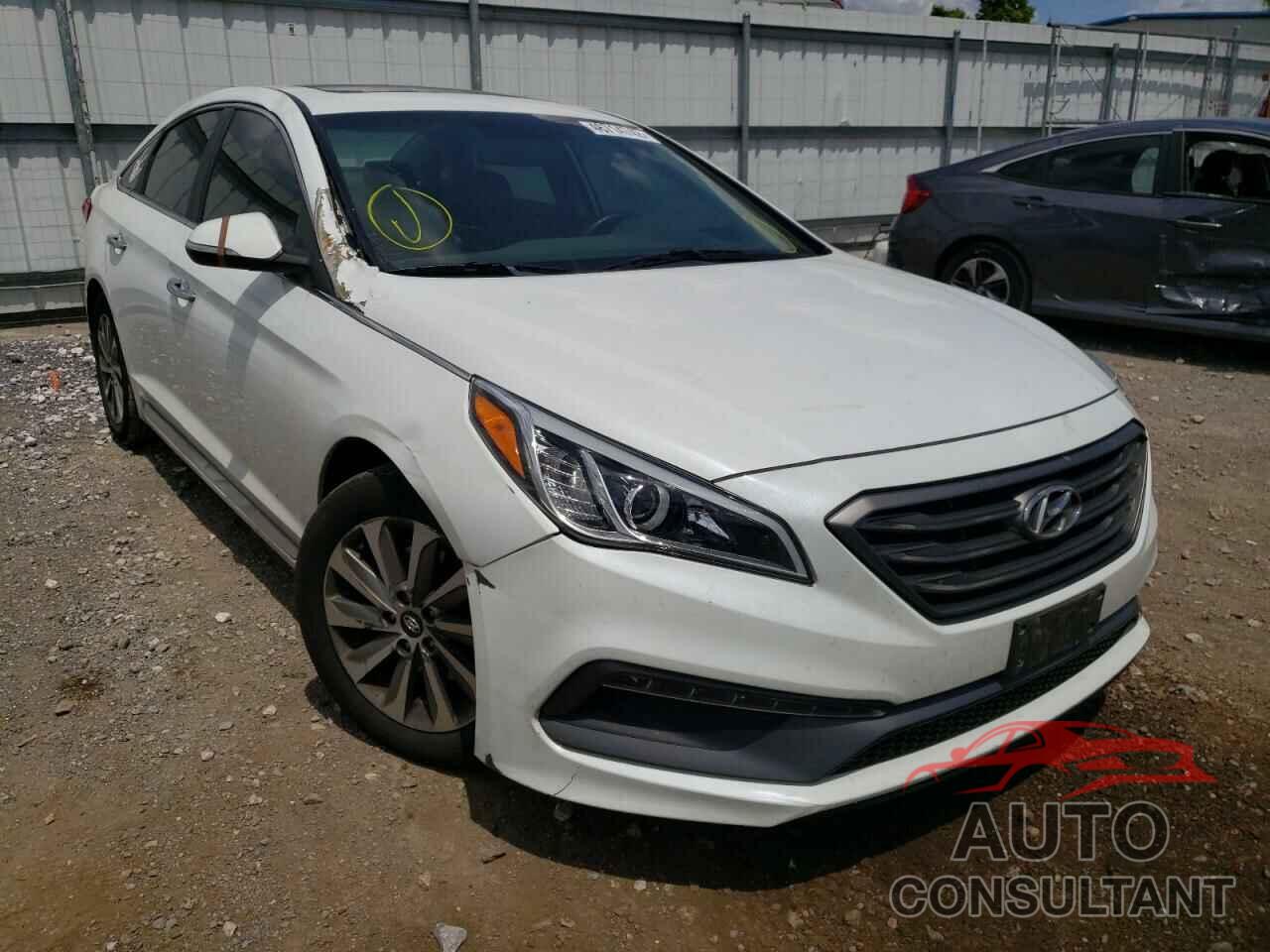 HYUNDAI SONATA 2016 - 5NPE34AF5GH305305