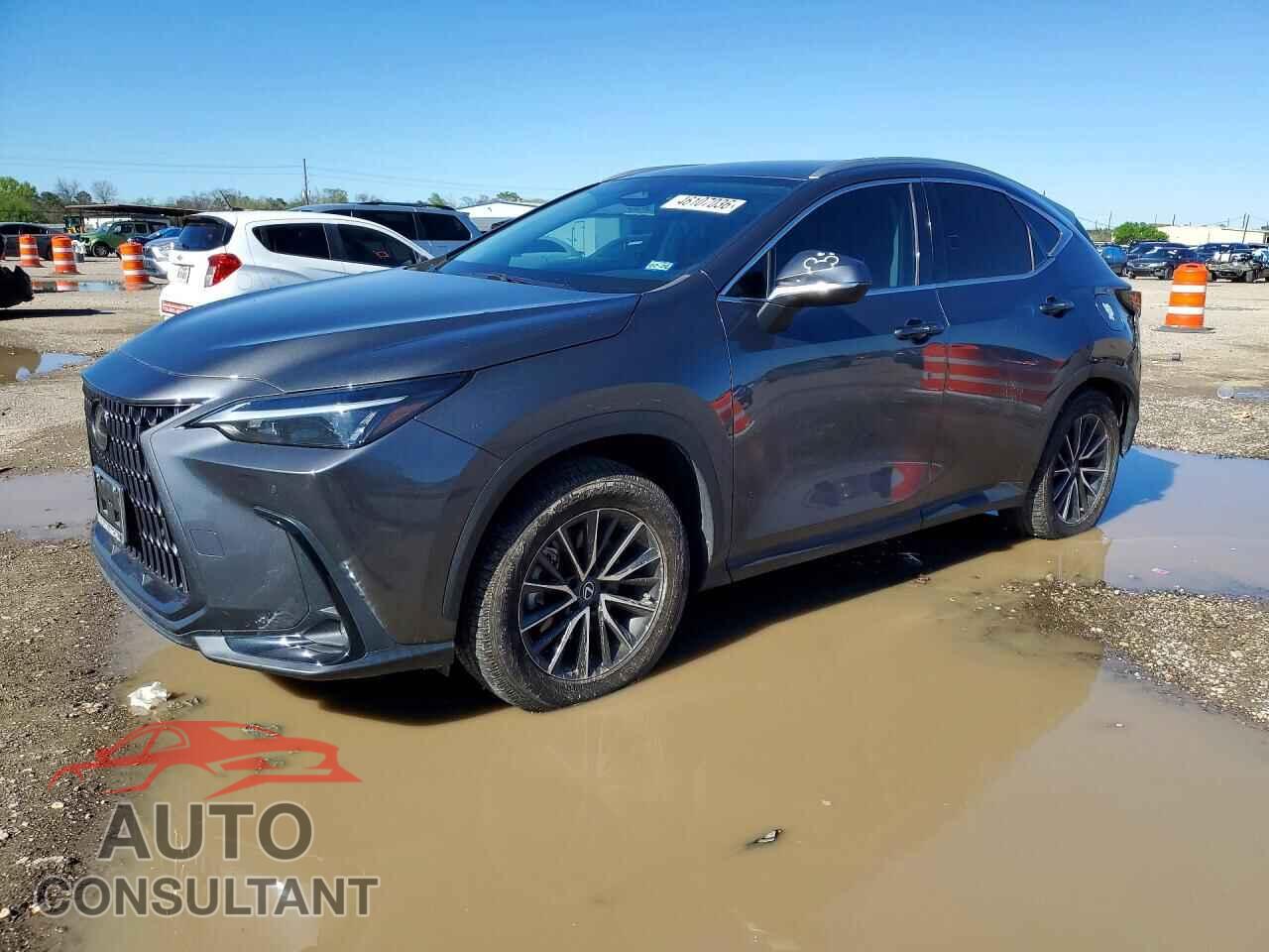 LEXUS UNKNOWN 2023 - 2T2GDCAZ5PC005174