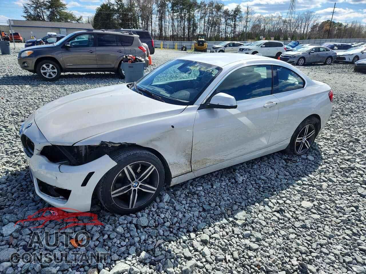 BMW 2 SERIES 2017 - WBA2H9C31HV642184