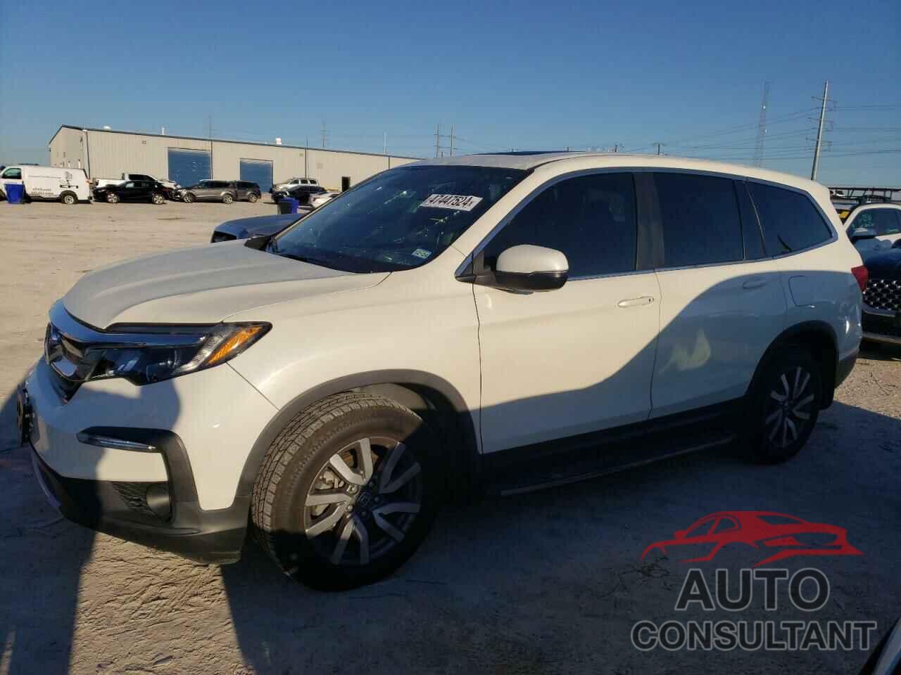 HONDA PILOT 2019 - 5FNYF5H59KB013025