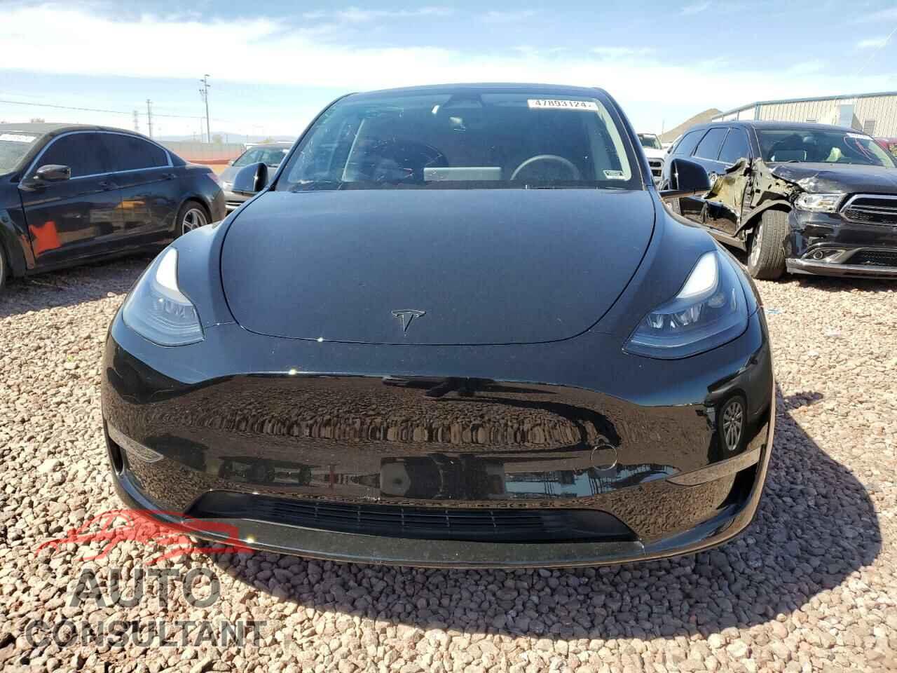 TESLA MODEL Y 2023 - 7SAYGAEE2PF749860