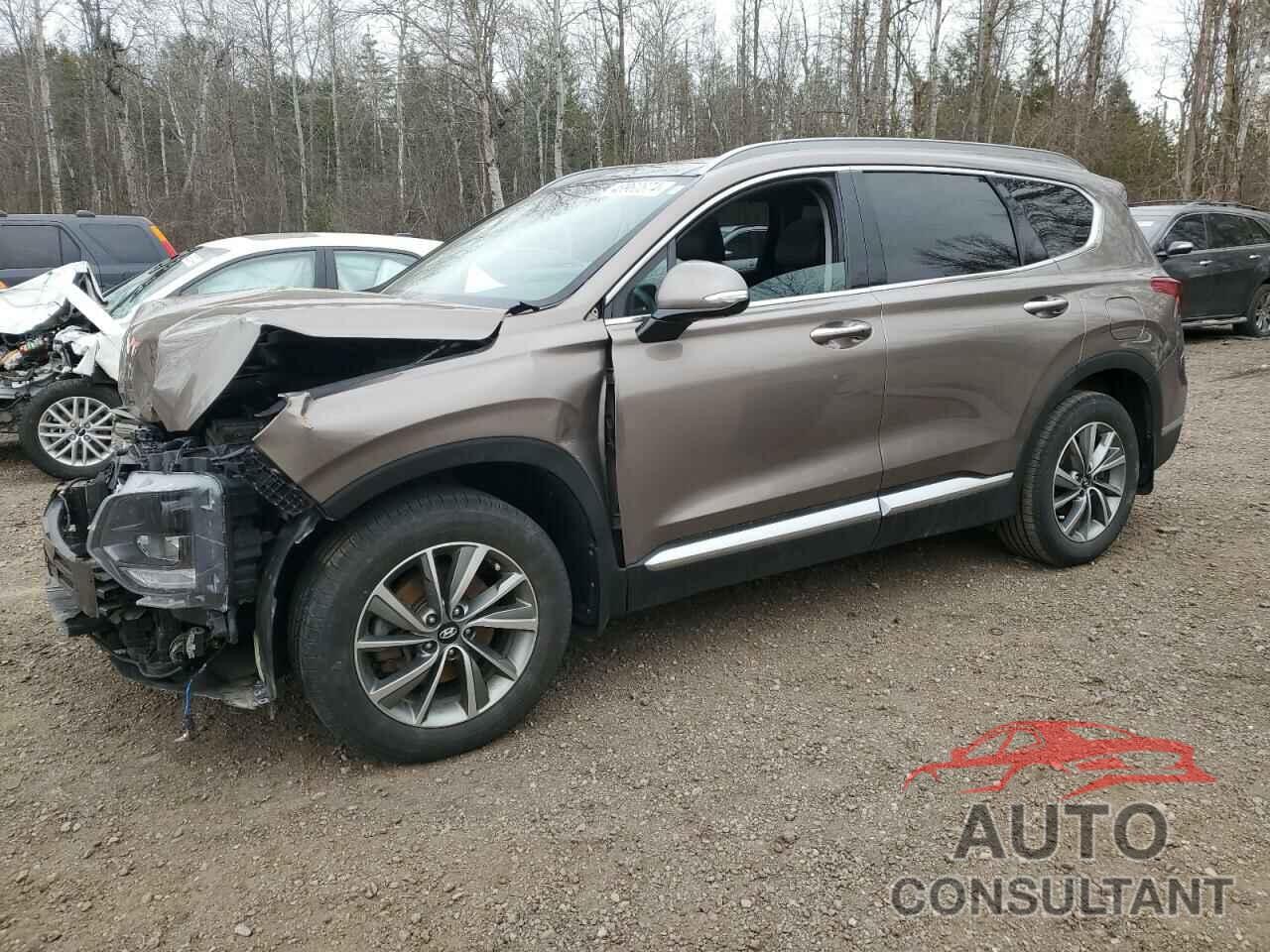 HYUNDAI SANTA FE 2019 - 5NMS3CAA9KH024471