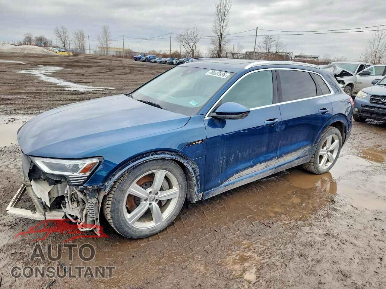 AUDI E-TRON 2019 - WA1AAAGE6KB011756