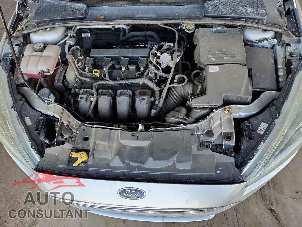 FORD FOCUS 2016 - 1FADP3K28GL364016