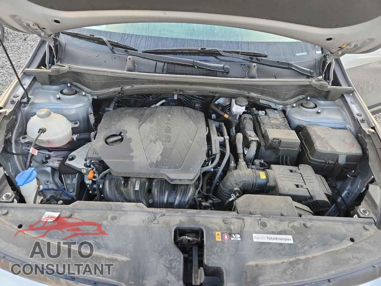 KIA SPORTAGE 2025 - KNDPU3DF3S7355189