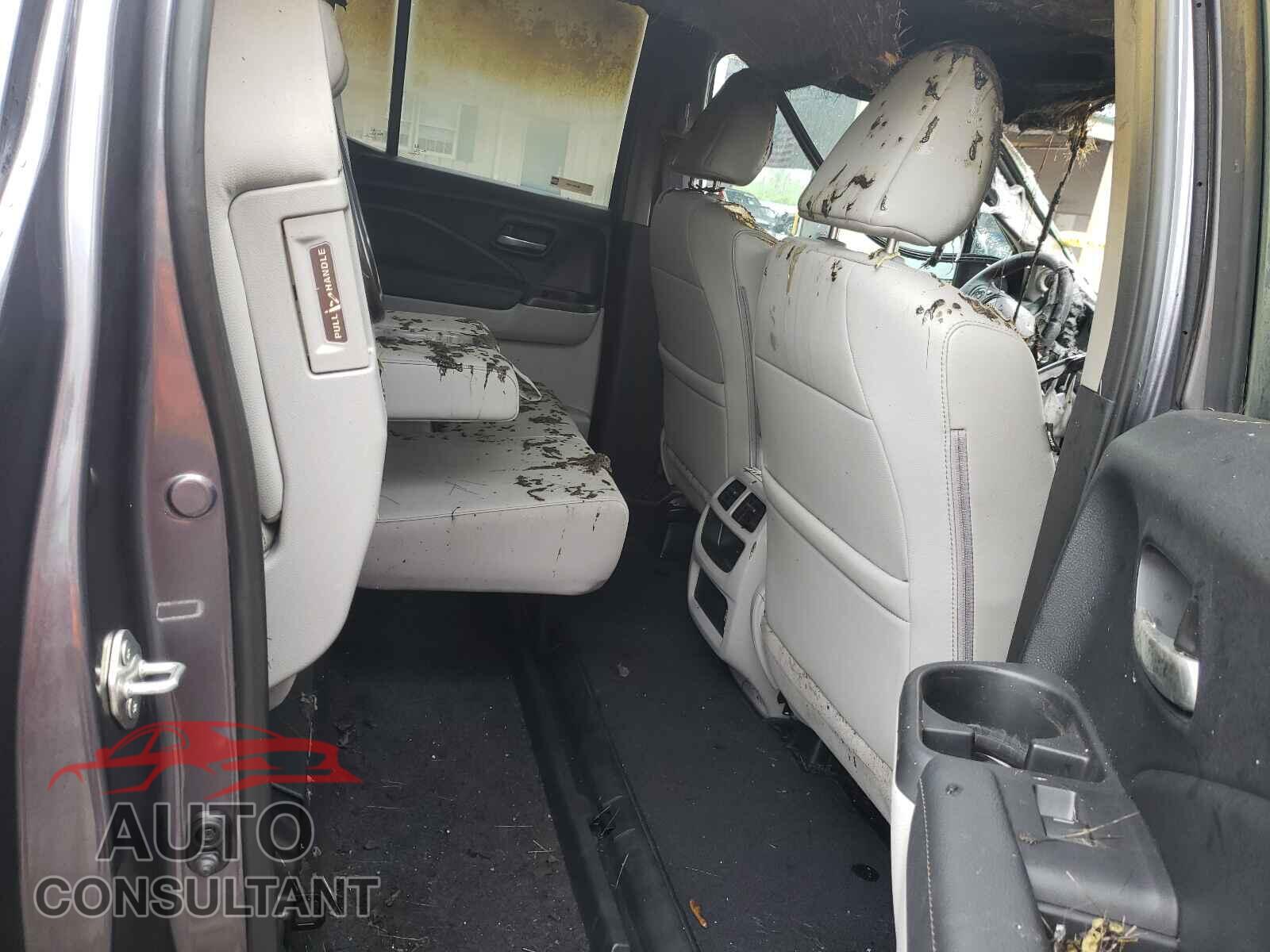 HONDA RIDGELINE 2019 - 5FPYK3F79KB036672