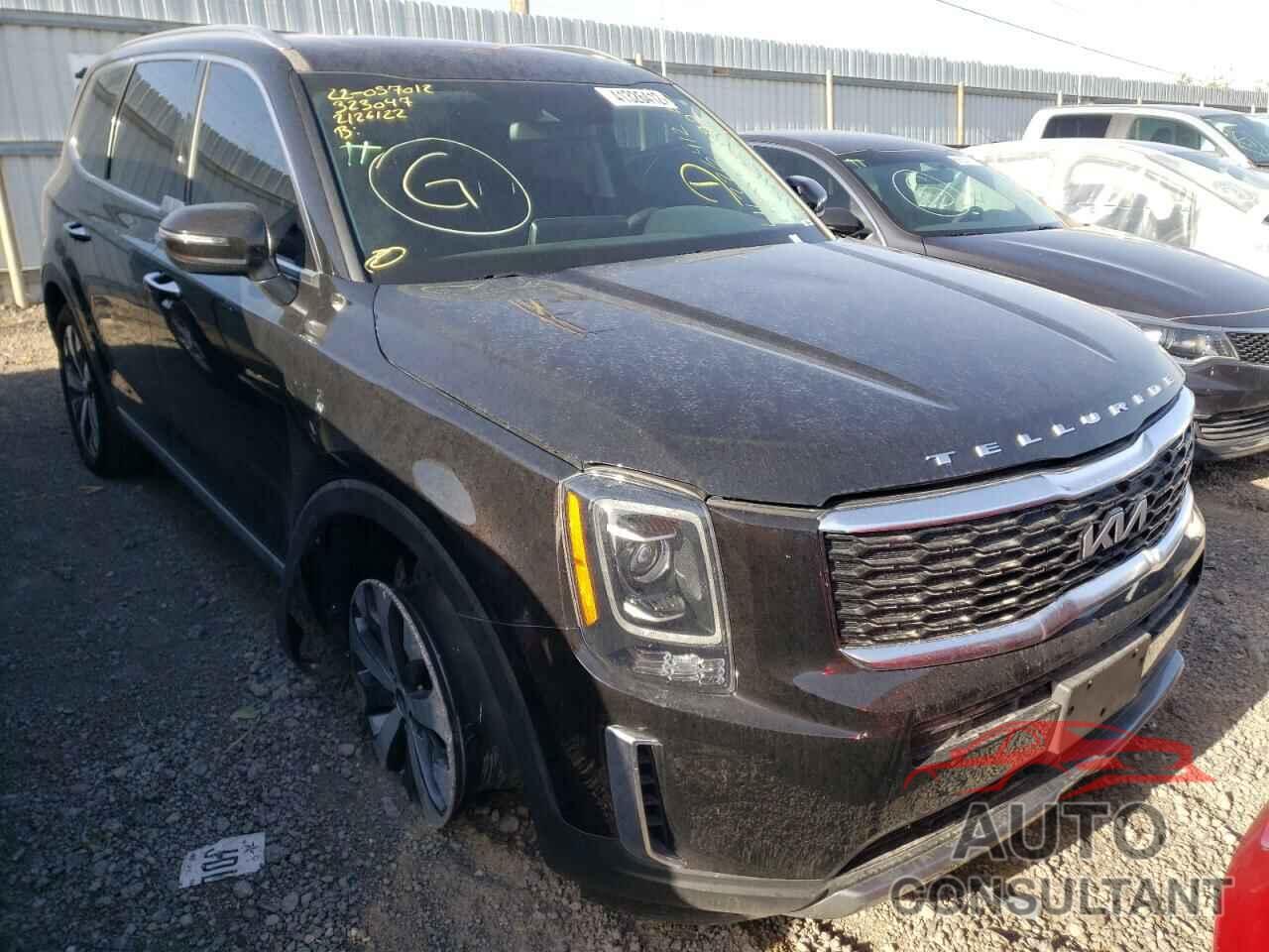 KIA TELLURIDE 2022 - 5XYP6DHC5NG202255